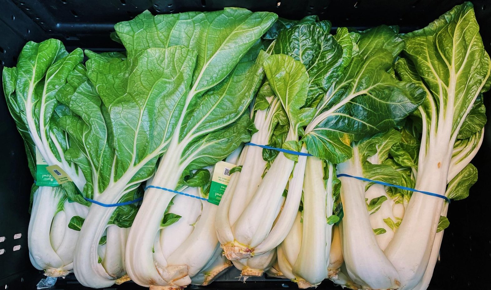 Heads of bok choy with crisp, green leaves sit in a plastic produce box.