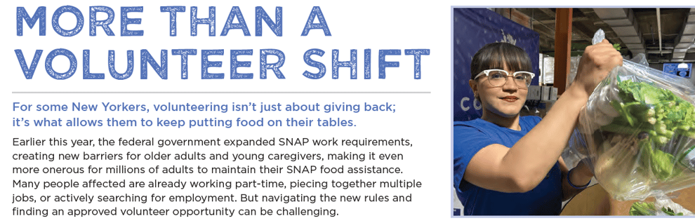 A screenshot from the newsletter that reads "more than a volunteer shift"