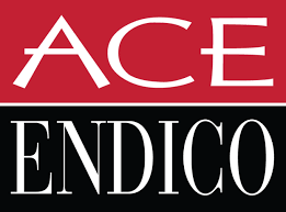 ace endico logo